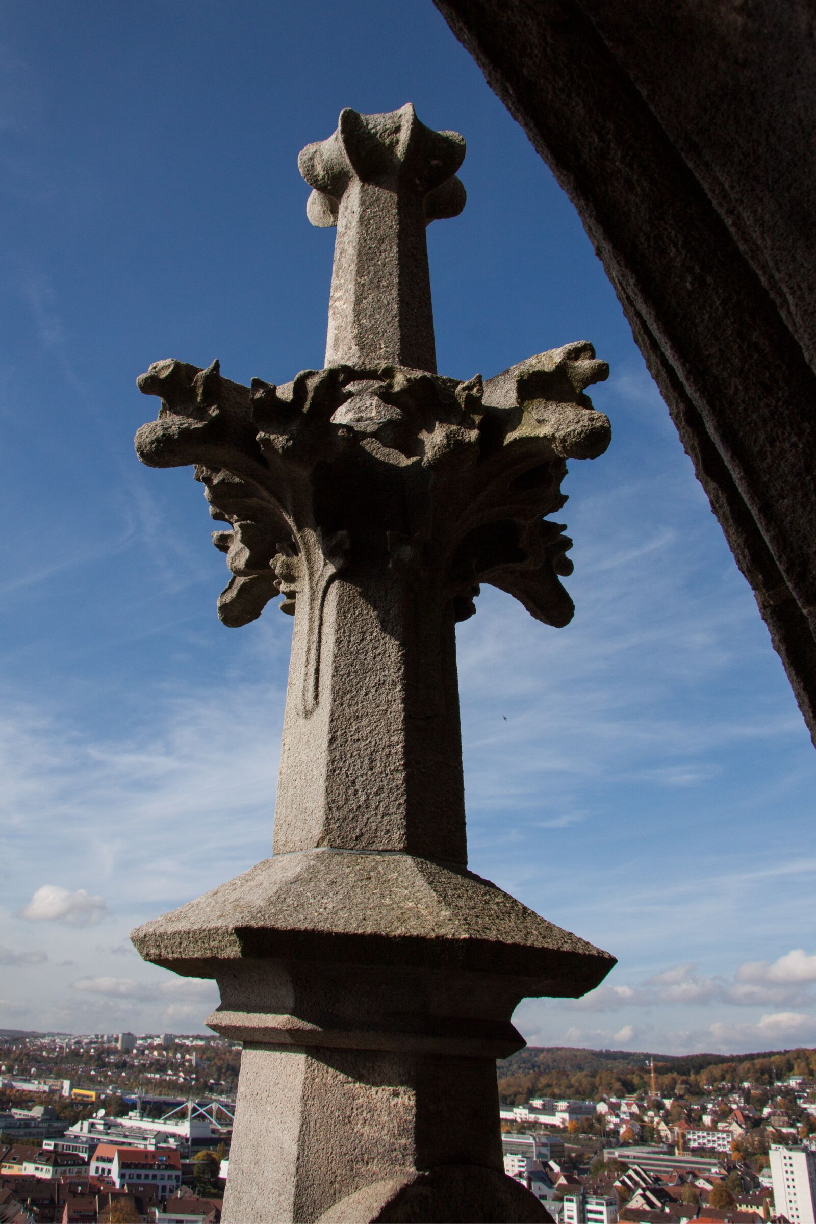 Canon EOS 50D sample photo. Pinnacle, italian foglia, leaf photography