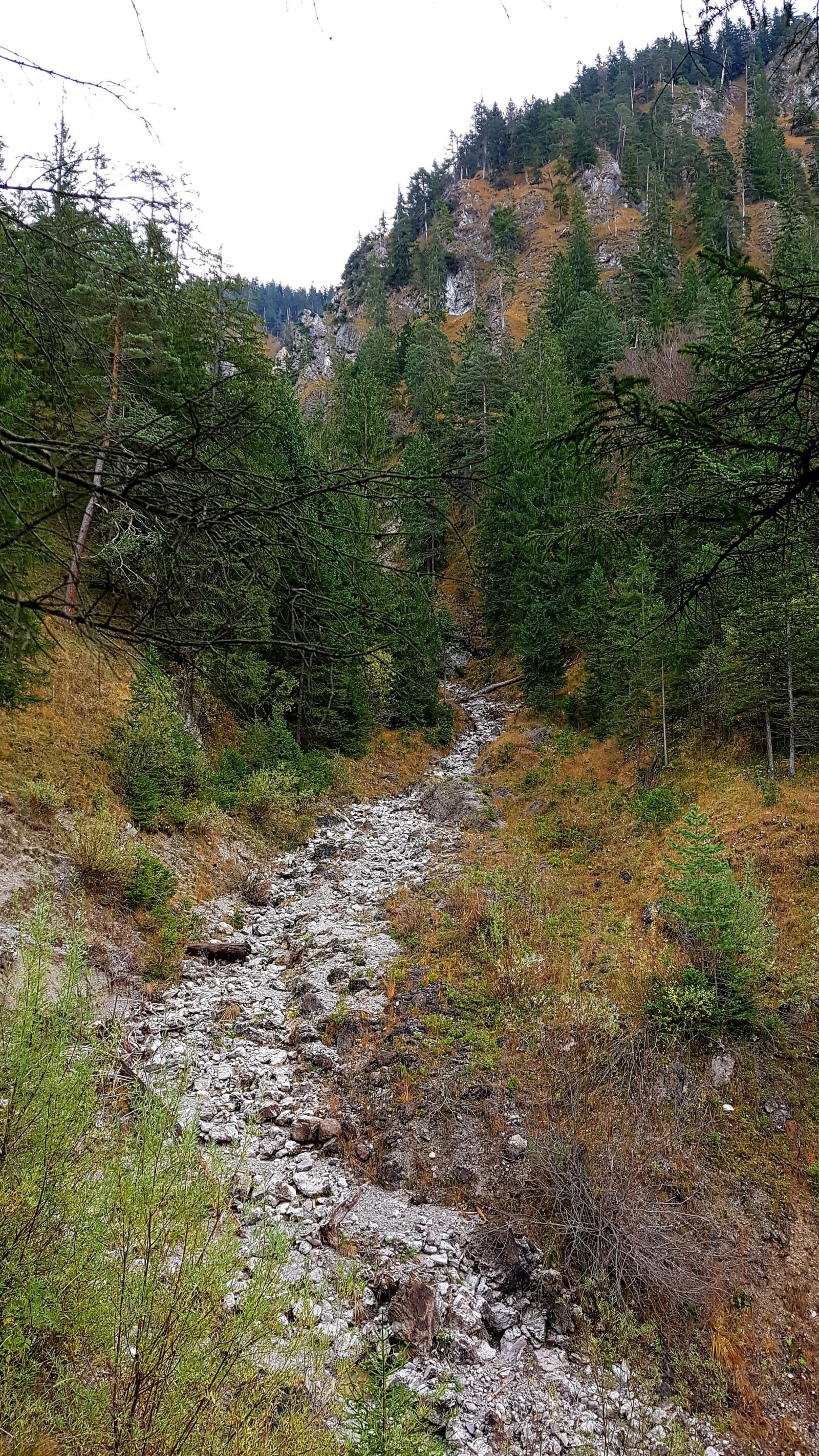Samsung Galaxy S7 Edge sample photo. Stream bed, dry, steep photography