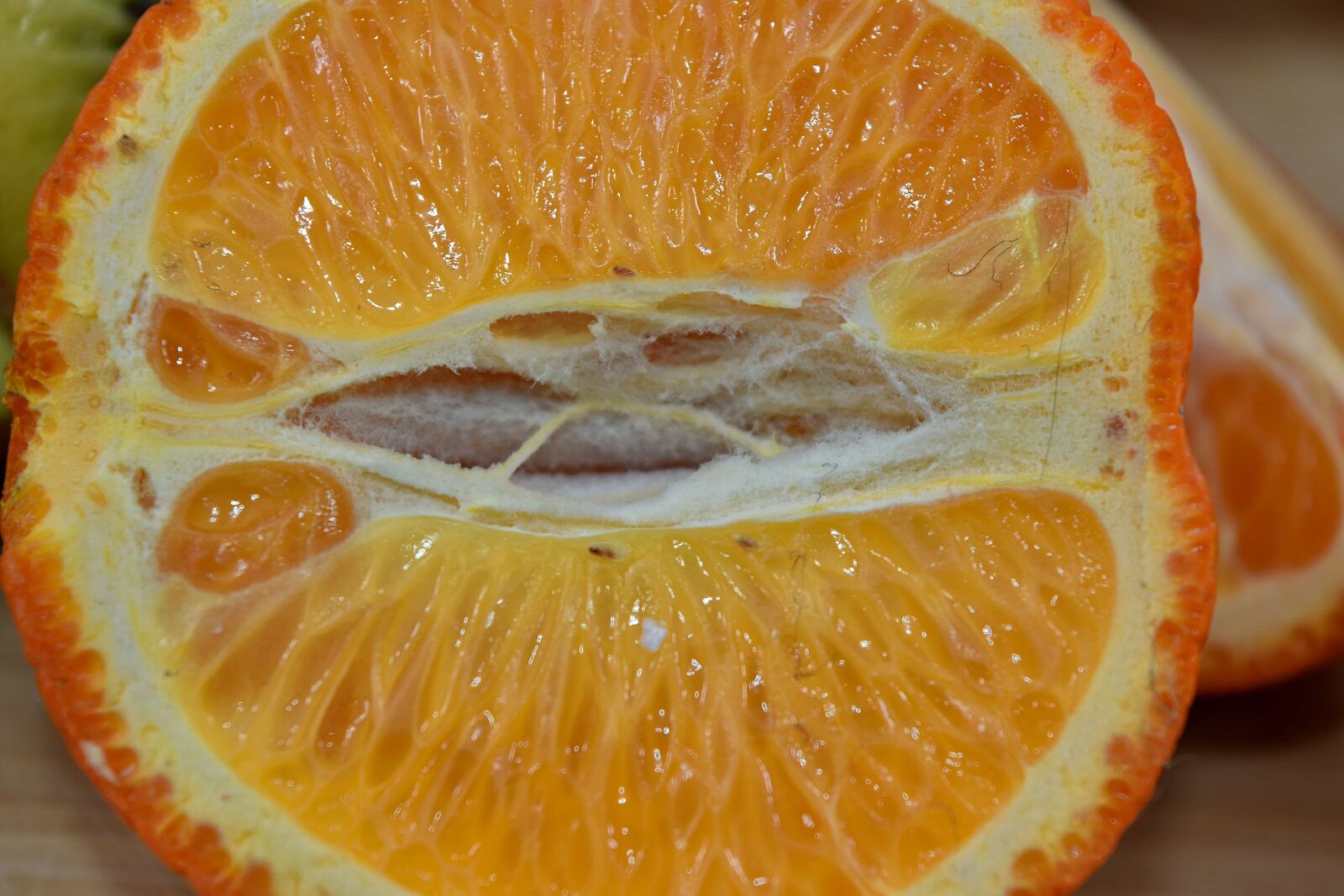Nikon D5500 sample photo. Aromatic, cross section, fragment photography