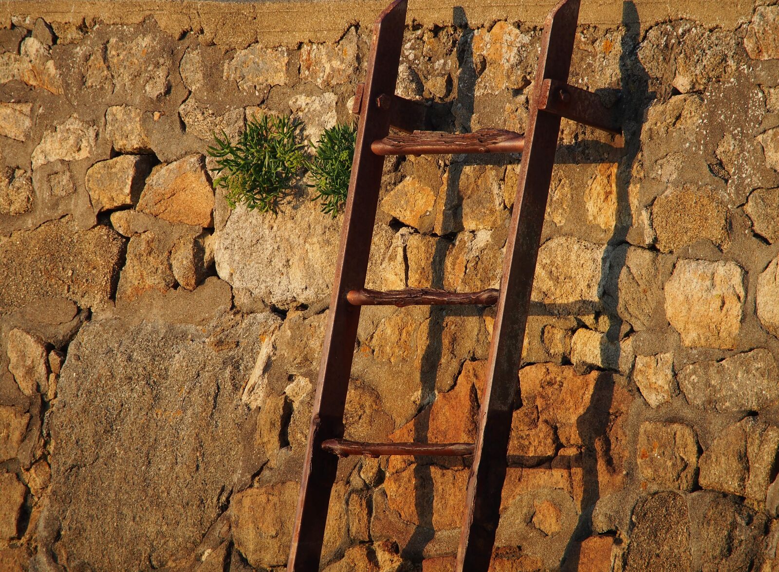 Olympus OM-D E-M5 sample photo. Shadow, evening, background photography