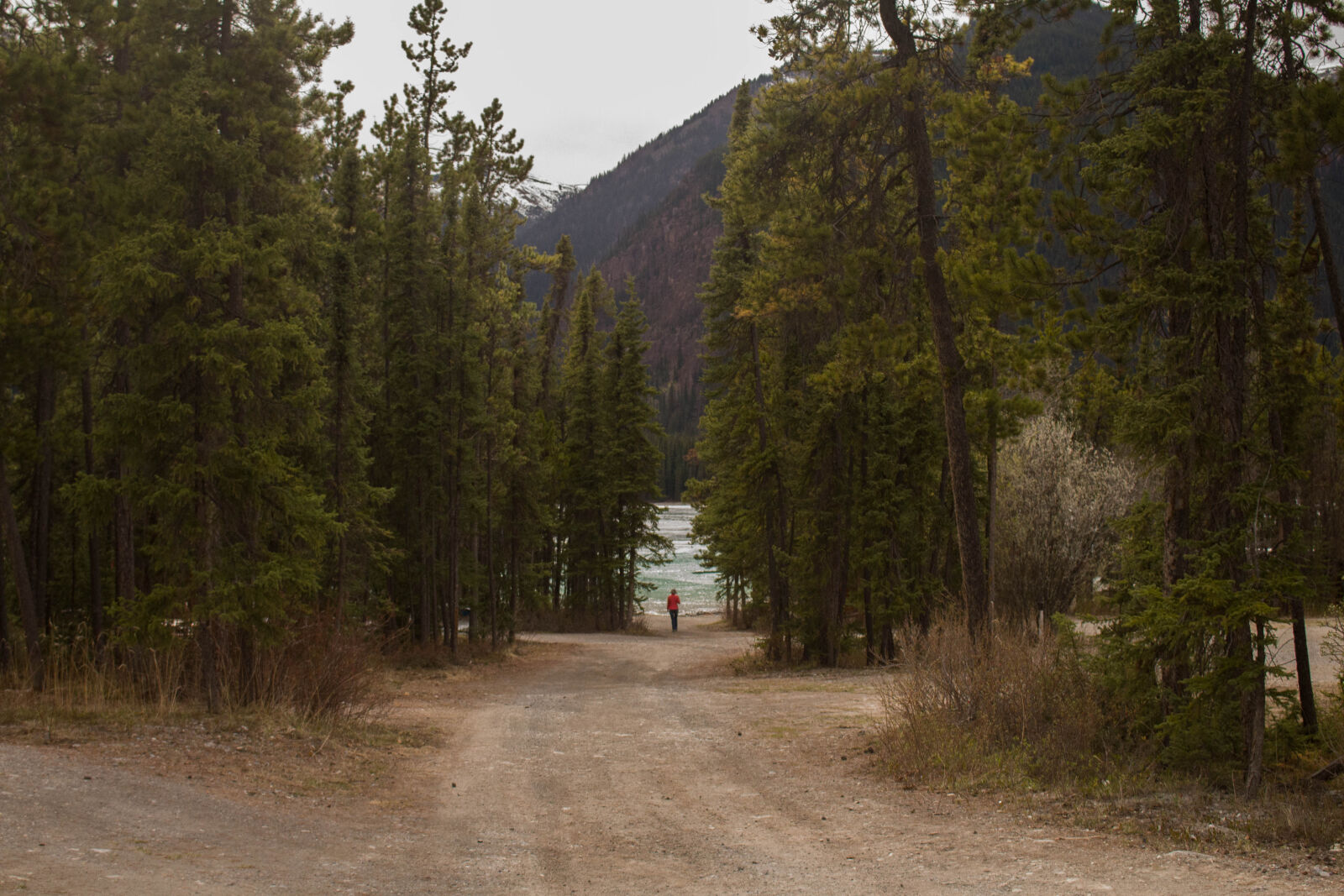 Canon EOS 700D (EOS Rebel T5i / EOS Kiss X7i) sample photo. Camping, canada, dirt, road photography