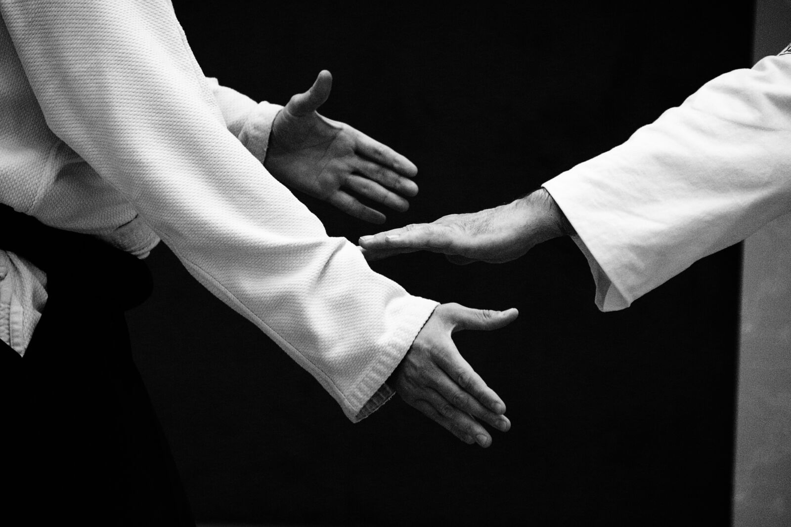 Canon EOS 700D (EOS Rebel T5i / EOS Kiss X7i) sample photo. Aikido, self-defense, training photography