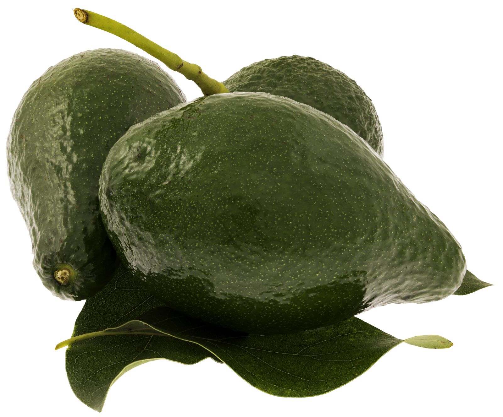 Canon EOS 5D Mark IV sample photo. Avocado, green, nutrition photography