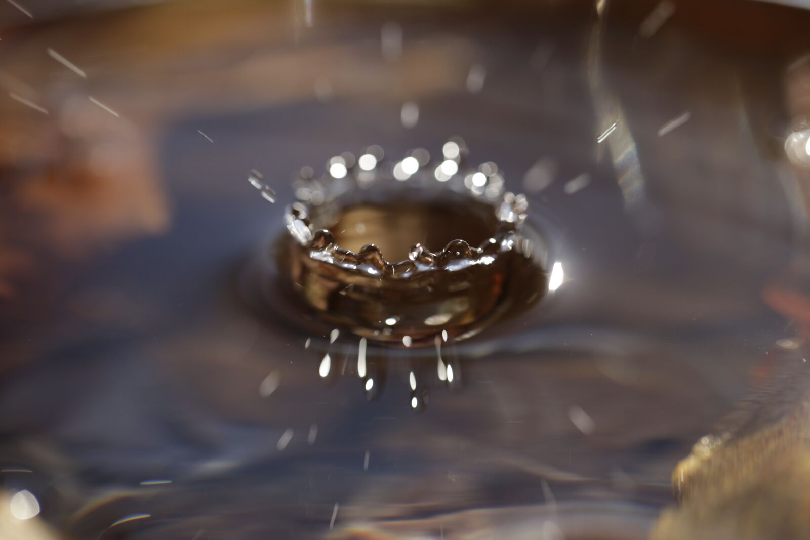 Canon EF 100mm F2.8L Macro IS USM sample photo. Drip, drops closeup, drop photography
