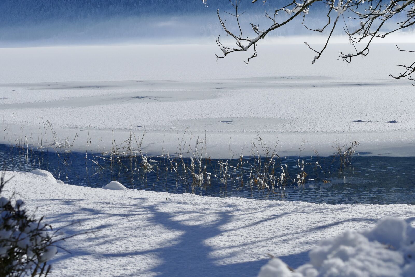 Panasonic Lumix DMC-FZ1000 sample photo. Winter, snow, frost photography