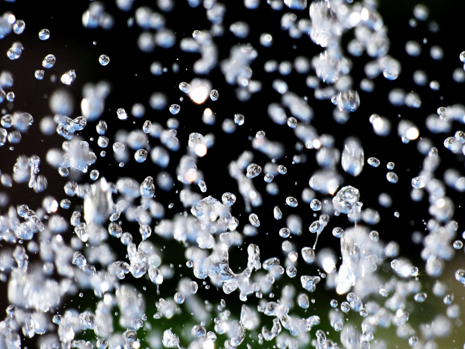 Canon PowerShot SX10 IS sample photo. Water, drops of water photography