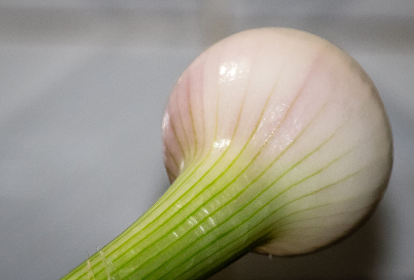 Nikon D5300 sample photo. Onion, fruits, vegetarian photography
