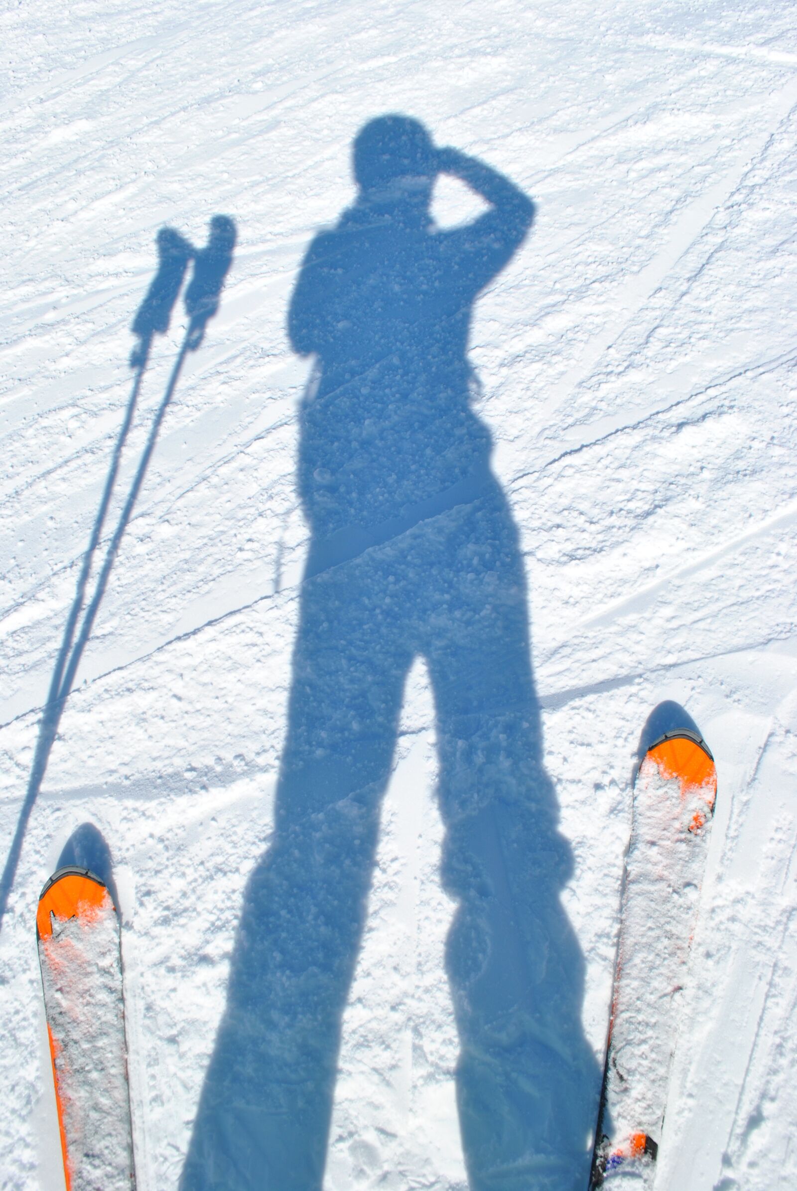 Nikon D3000 sample photo. Skiing, skiers, shadow photography