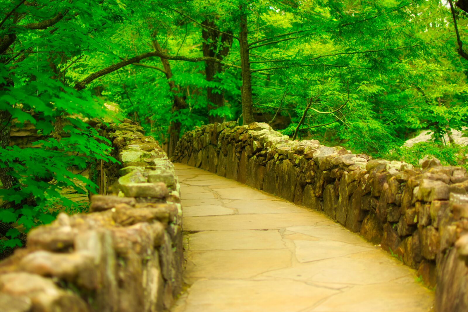 Nikon D5300 sample photo. Rock city gardens, steinweg photography