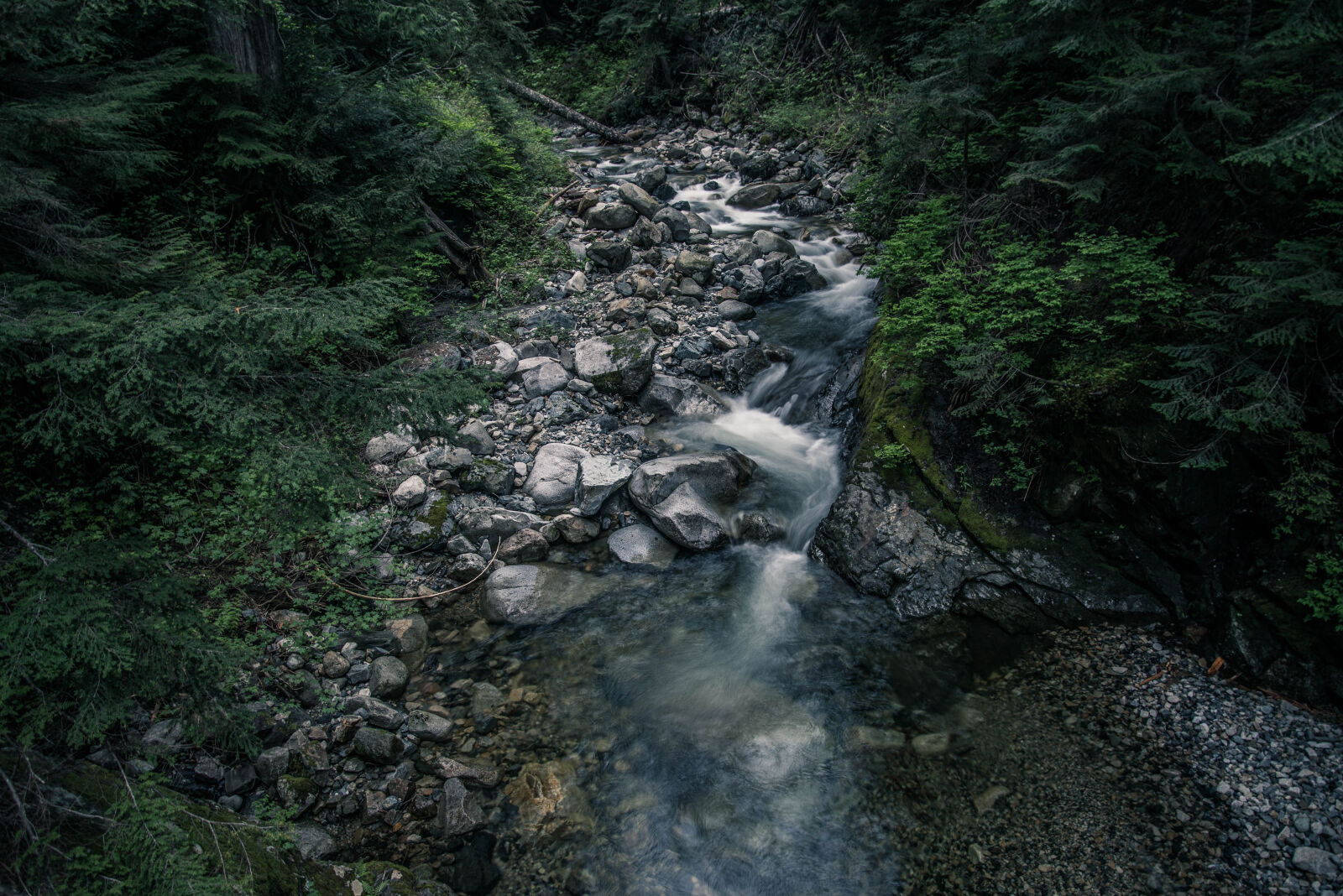 Nikon D610 sample photo. Creek, stream, stones, nature photography