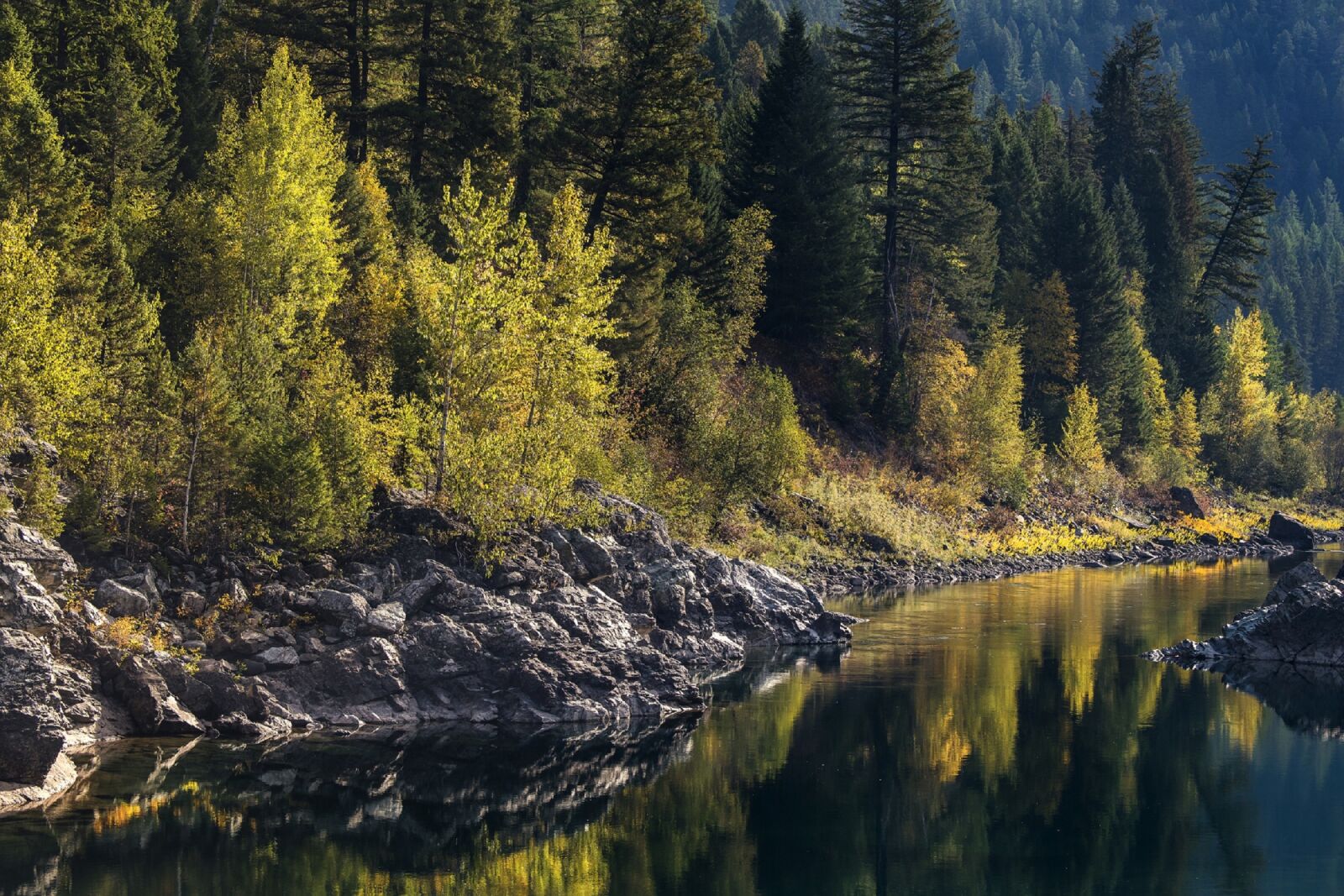 Nikon D800E sample photo. Landscape, scenic, flathead river photography