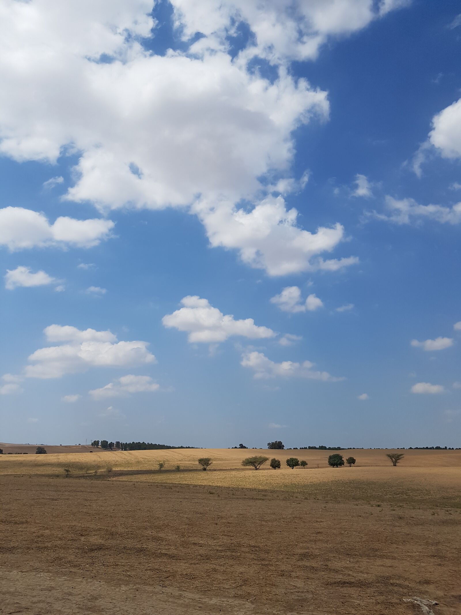 Samsung SM-G930F sample photo. Landscape, horizon, sky photography