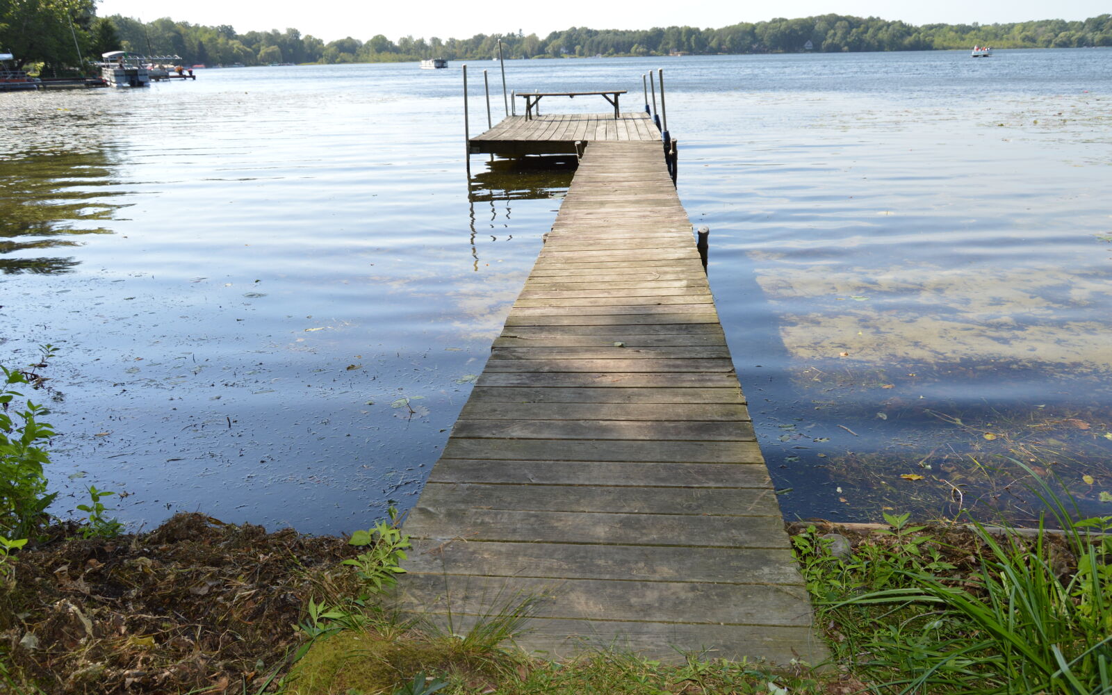 Nikon D3200 sample photo