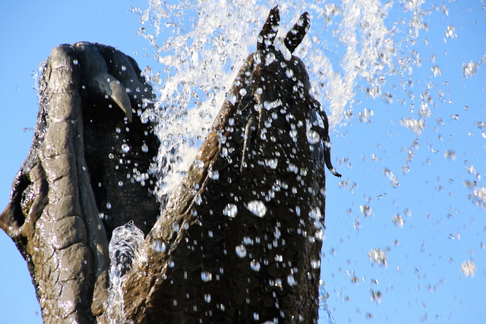 Canon EOS 7D Mark II sample photo. Blue, blue, sky, dragon photography