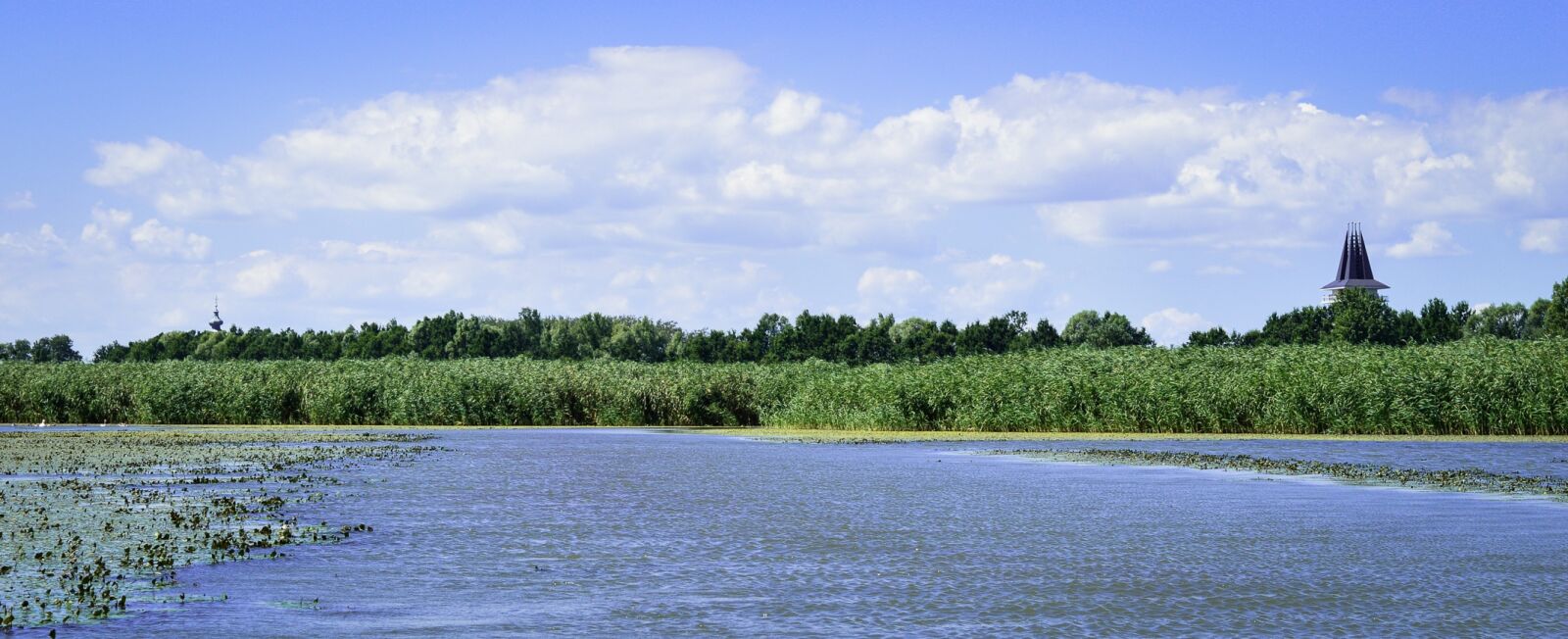 Nikon D3200 sample photo. Tisza-lake, poroszló, green photography