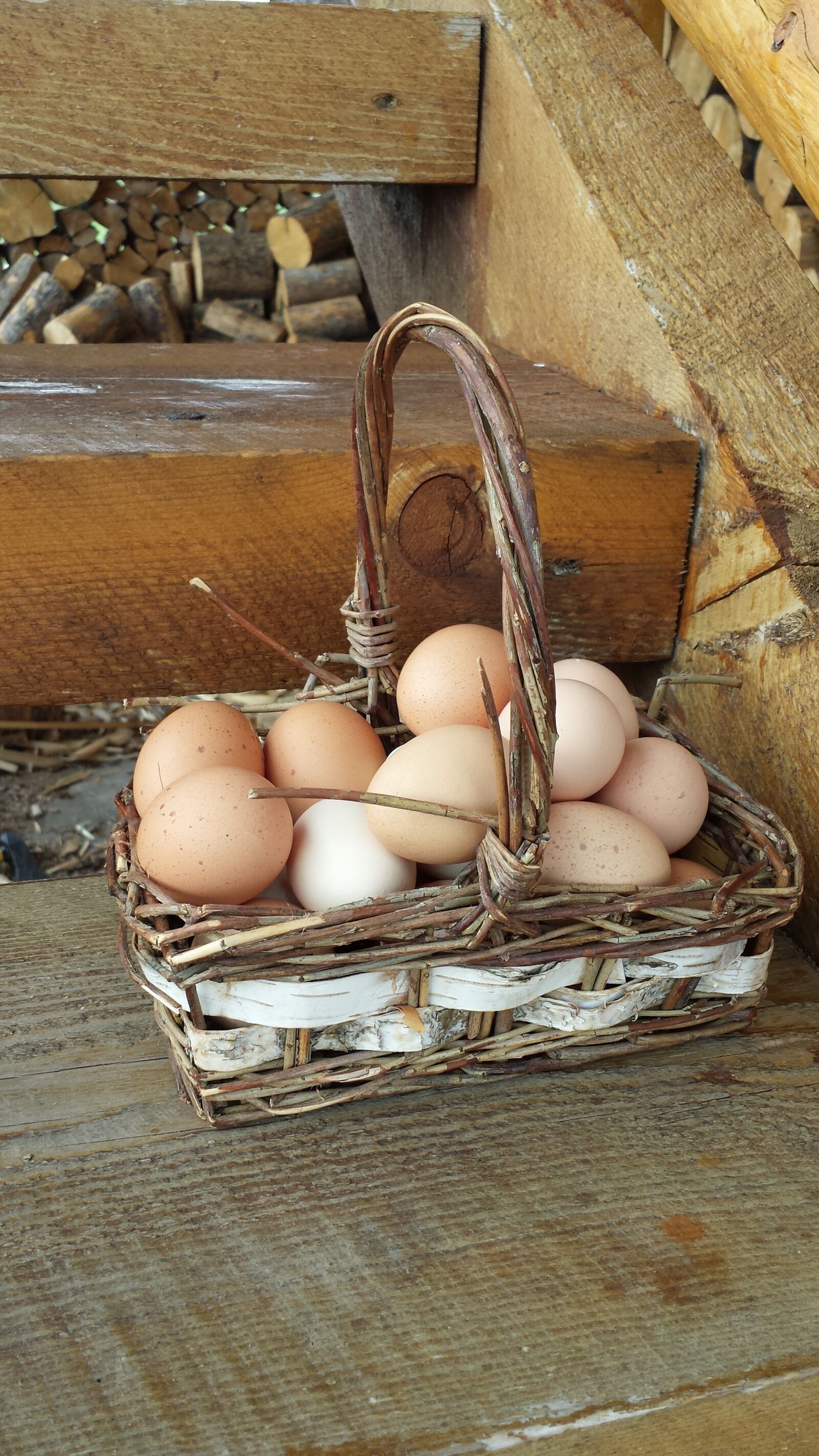 Samsung Galaxy S4 sample photo. Eggs in one basket photography