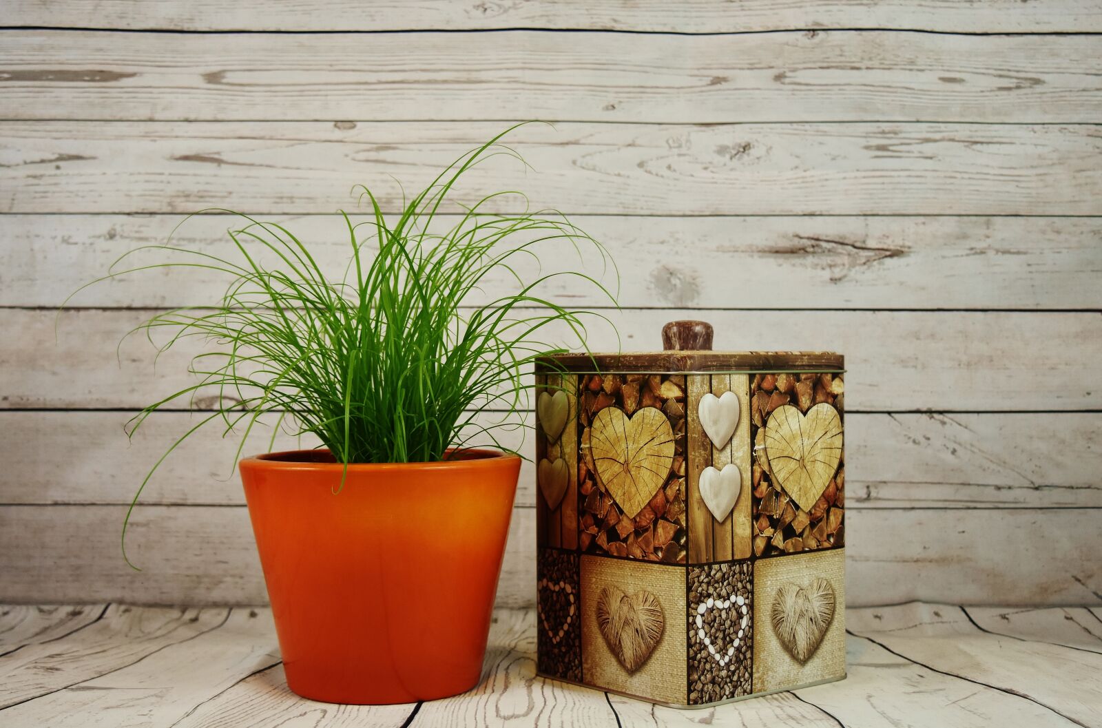 Nikon D7200 sample photo. Flowerpot, grass, plant photography
