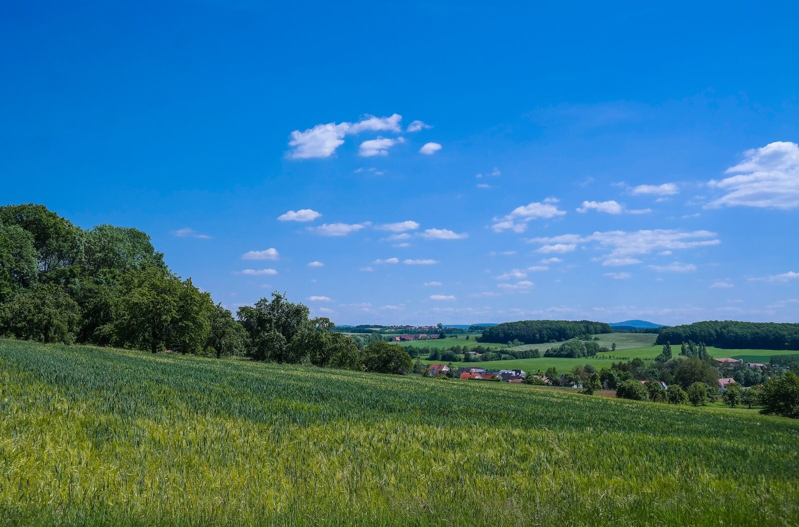 Samsung NX300 sample photo. Landscape, fields, cereals photography