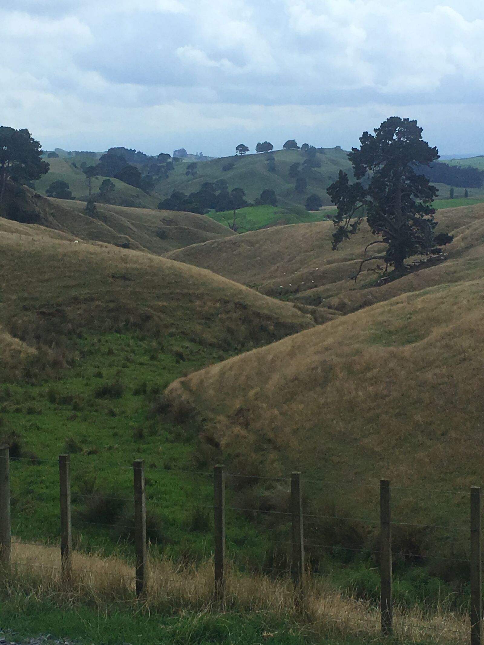 Apple iPhone 6s sample photo. Hobbiton, mata mata, new photography