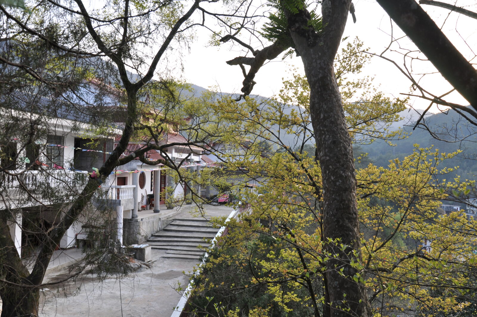 Nikon D90 sample photo