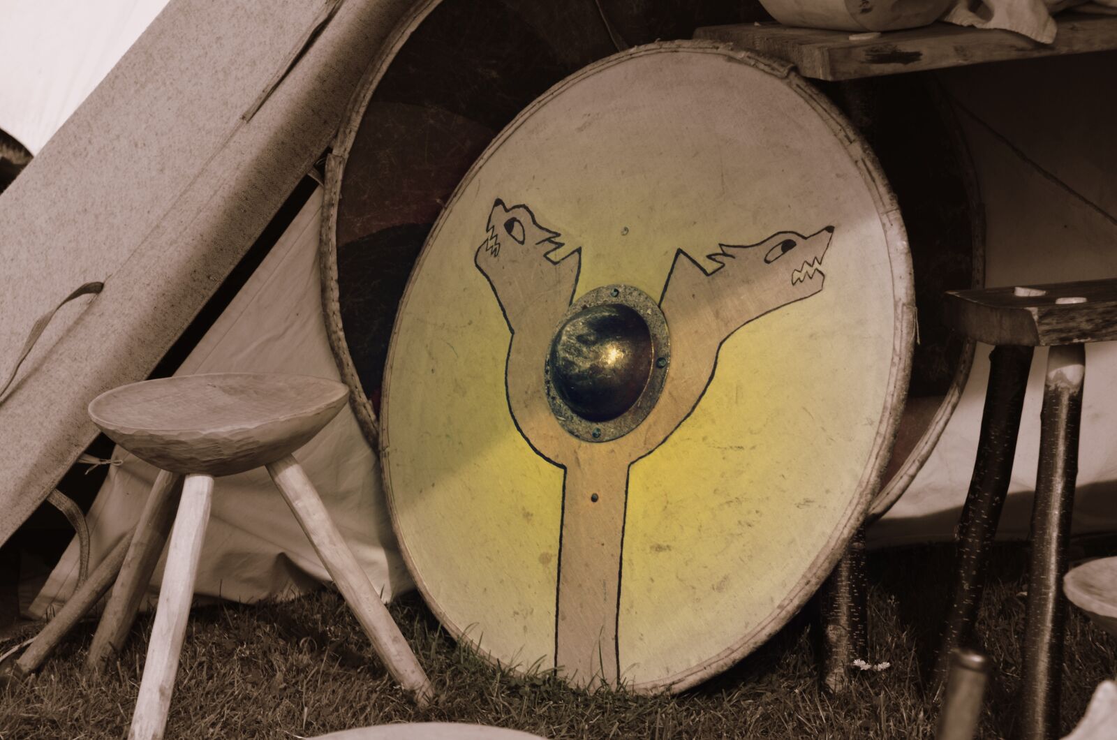 Nikon D5100 sample photo. Viking, middle ages, shield photography