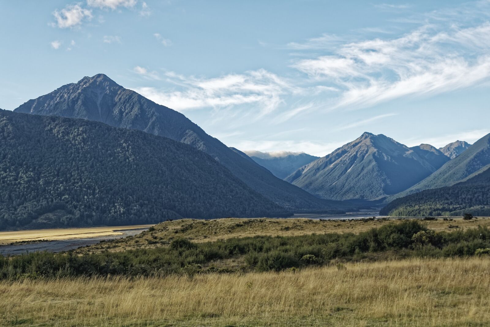 Nikon D500 sample photo. New zealand, craigieburn forest photography