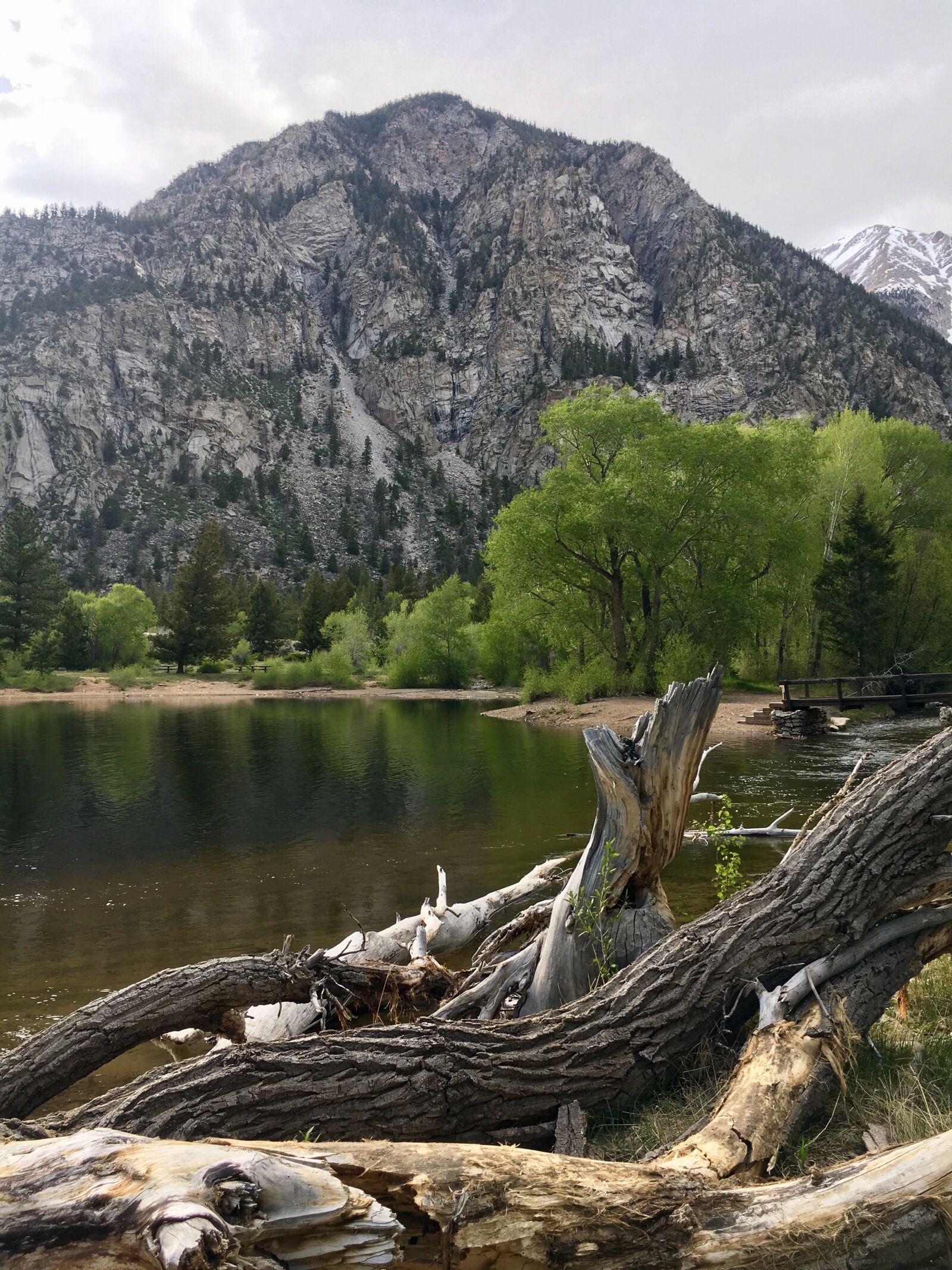 iPhone 6s back camera 4.15mm f/2.2 sample photo. Colorado, lake, mountain, rustic photography
