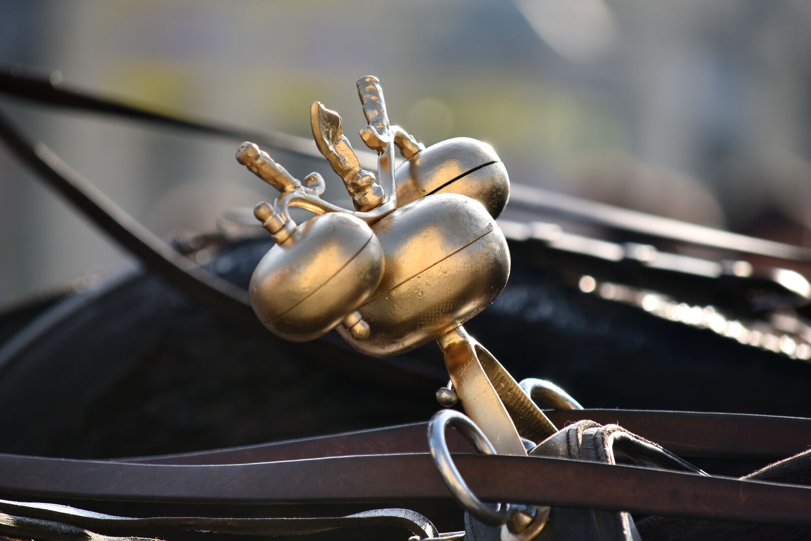Nikon D5500 sample photo. Bells, brass, carriage, decoration photography