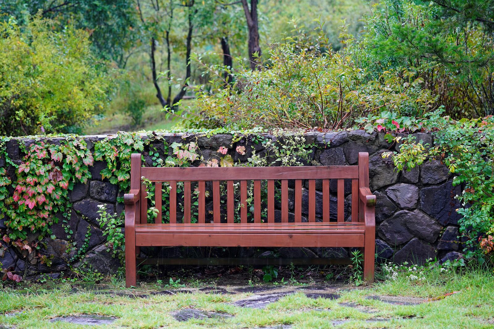 Sony a7R III sample photo. Bench, fence, flower photography