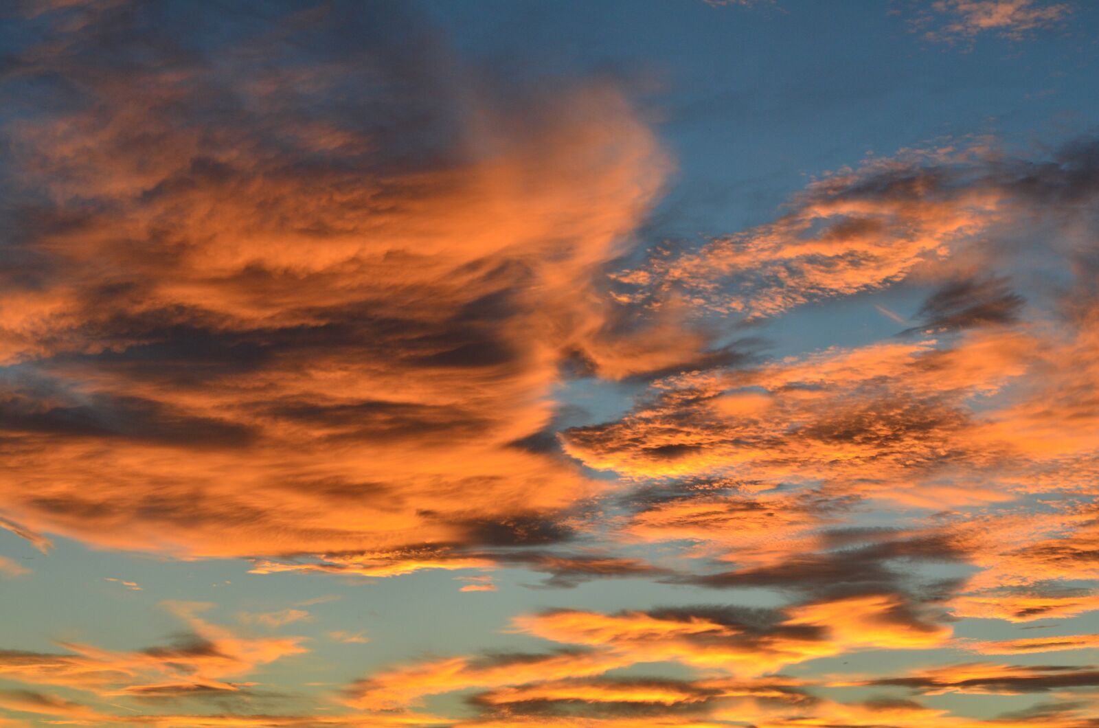 Nikon D5100 sample photo. Sunset, nature, sky photography