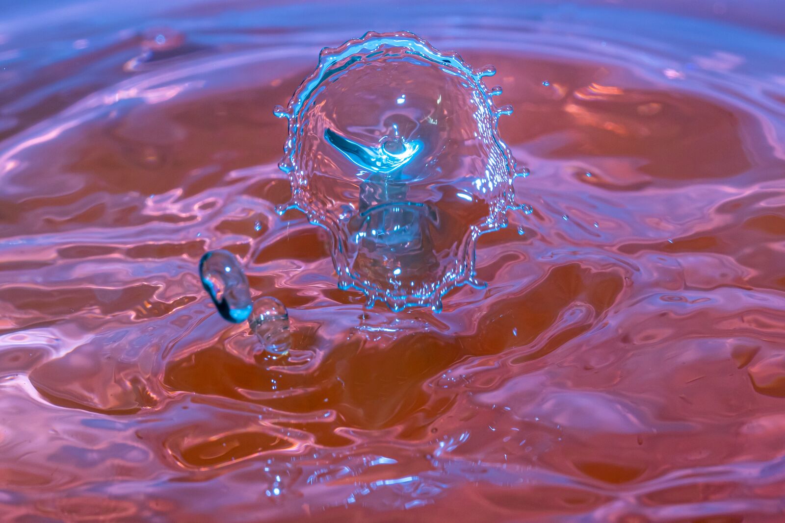 Canon EF-S 60mm F2.8 Macro USM sample photo. Splash, drop of water photography