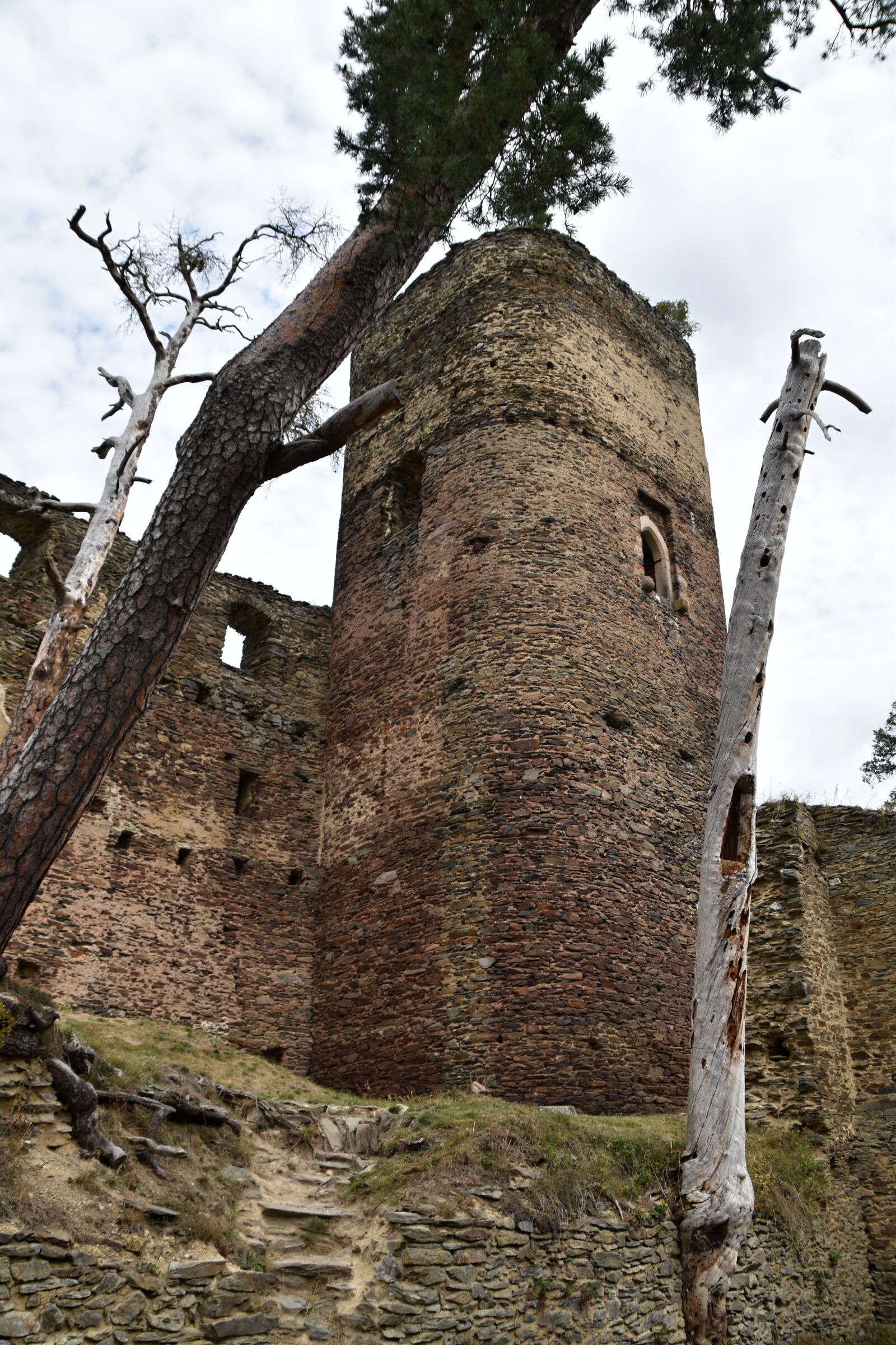 Nikon D3500 sample photo. Castle, rock, forest photography