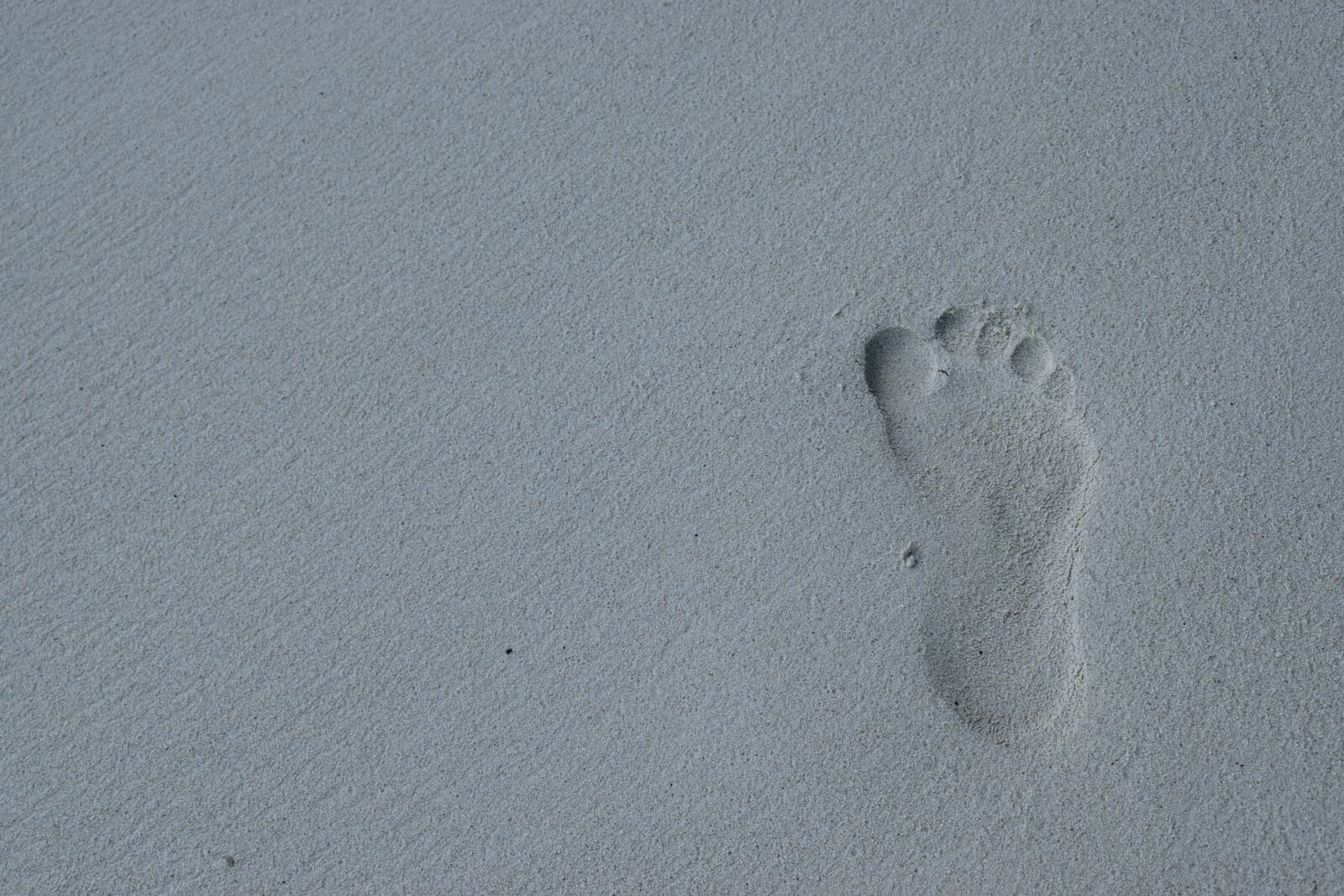 Nikon D3300 sample photo. Footprint, nobody, sand photography