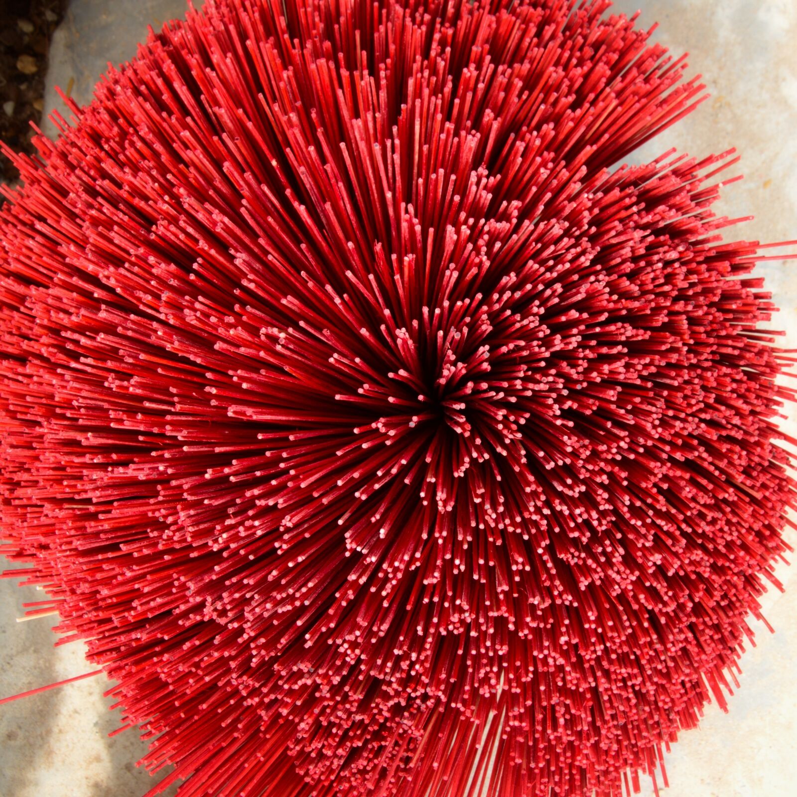 Nikon D5100 sample photo. Color, red, symmetry photography