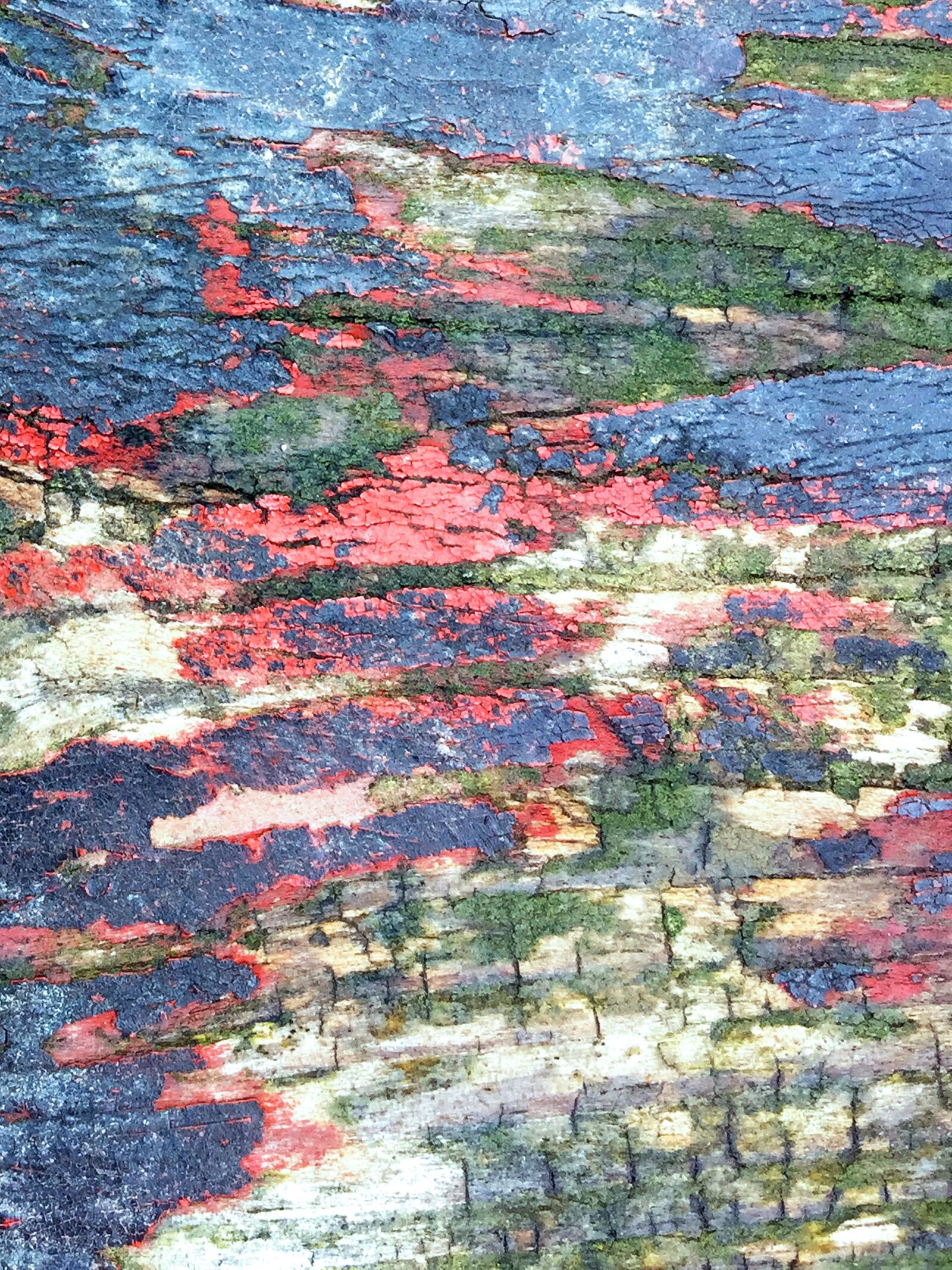 iPhone 6 back camera 4.15mm f/2.2 sample photo. Textured paint, wood, vintage photography