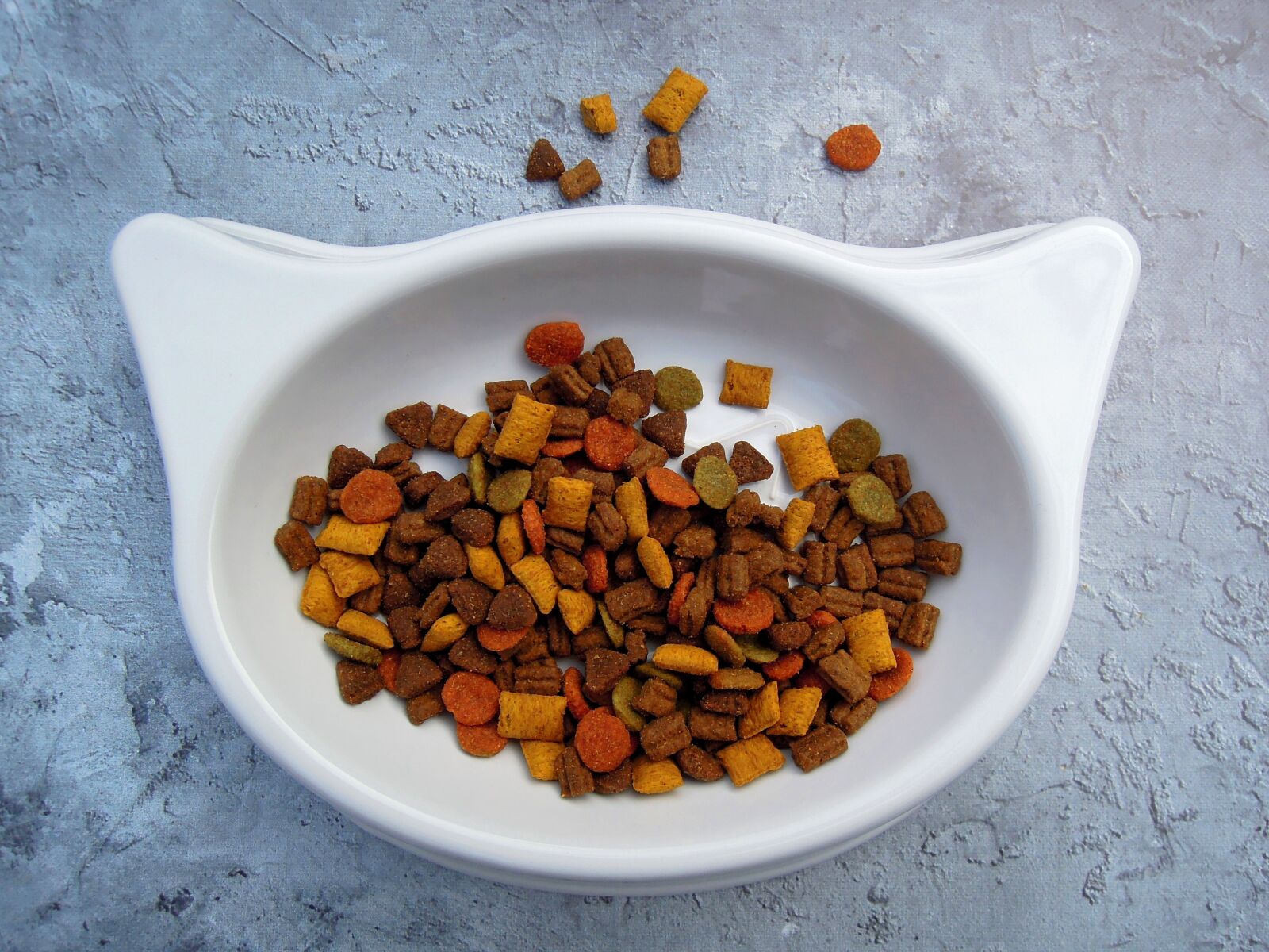 Nikon Coolpix P300 sample photo. Cat, food, pet food photography
