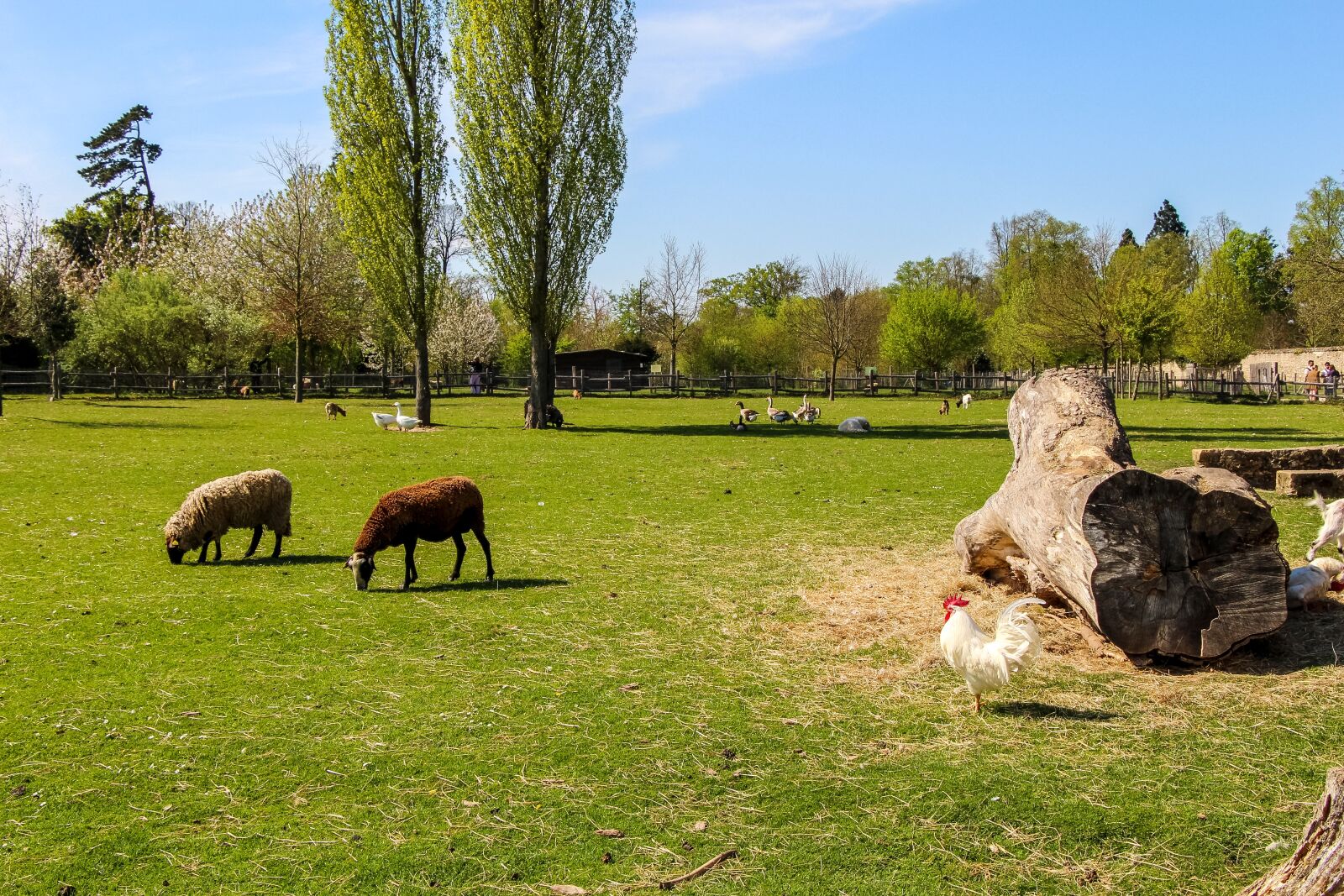 Canon EOS 650D (EOS Rebel T4i / EOS Kiss X6i) sample photo. Fields, sky, landscape photography