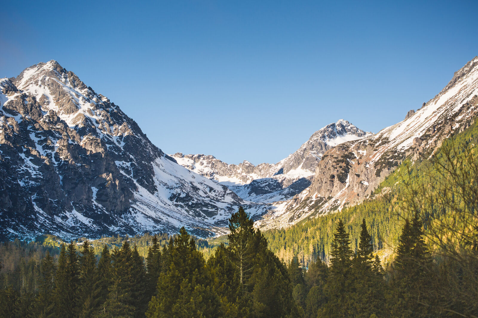 Canon EF 100mm F2.8 Macro USM sample photo. Mountain, with, snow, and photography