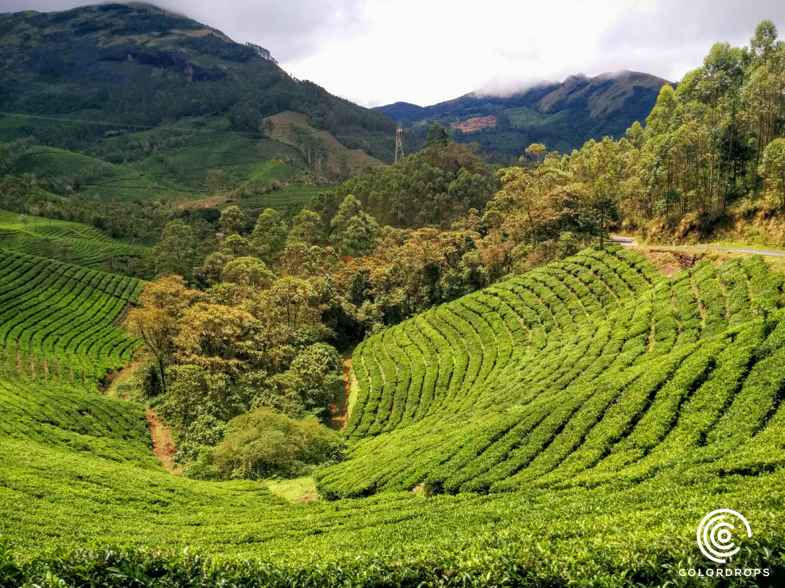 LG Nexus 5 sample photo. India, kerala, munnar, niyas photography
