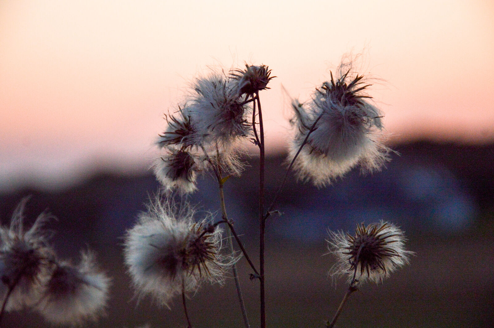 Nikon D3200 sample photo