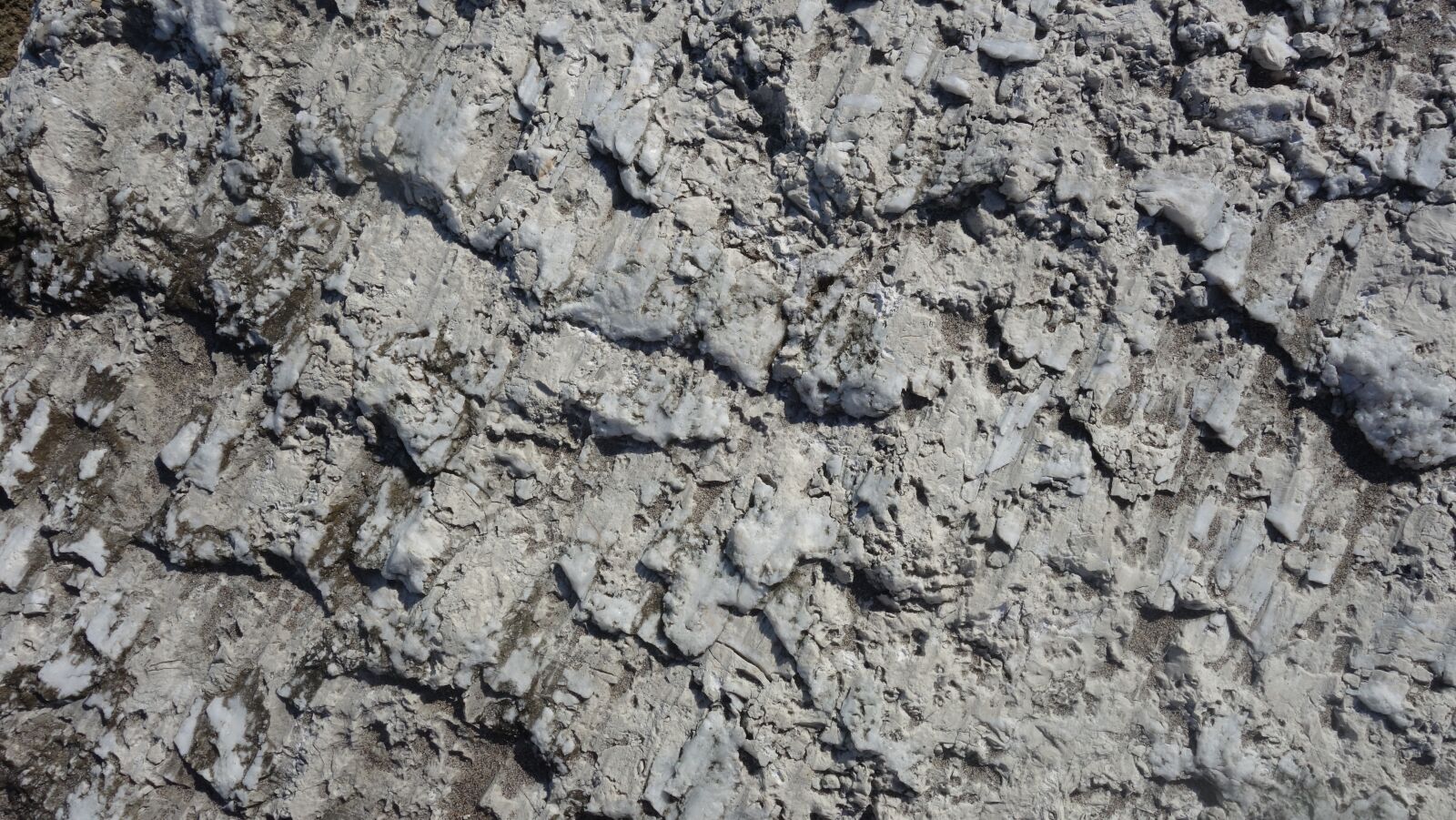 Sony Cyber-shot DSC-RX100 II sample photo. Limestone, texture, stone photography