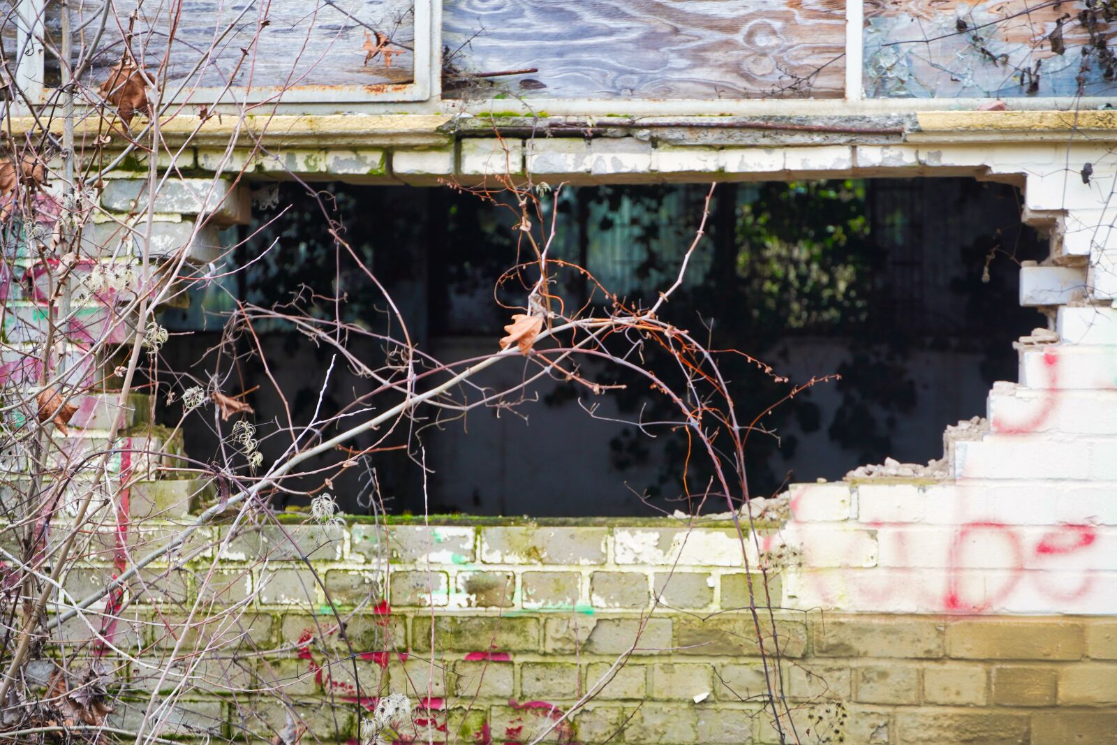 Sony a6400 sample photo. Wall, masonry, destroyed photography