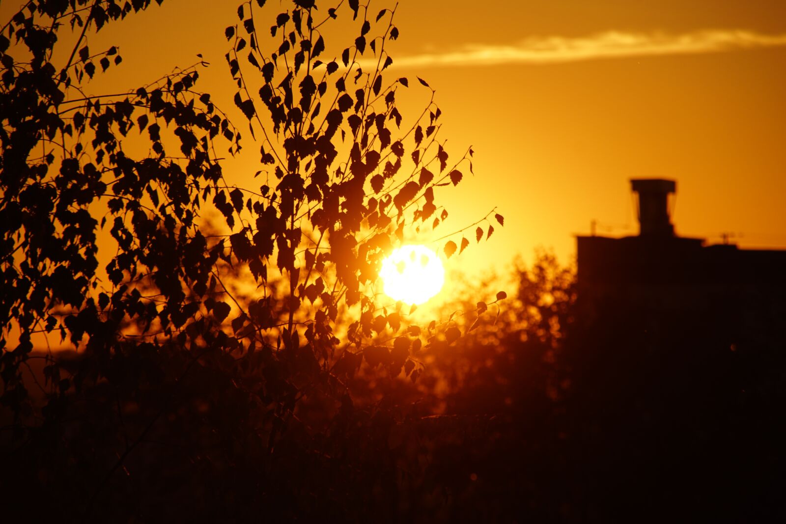 Sony DT 18-200mm F3.5-6.3 sample photo. West, the sun, sky photography