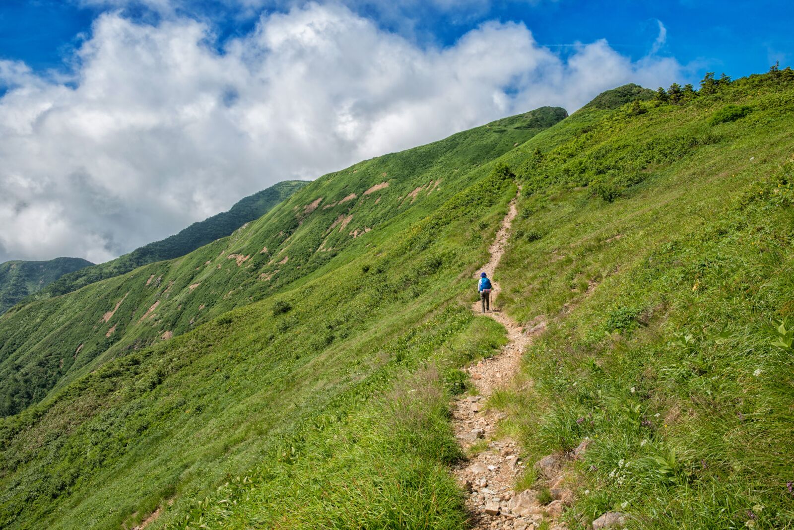 Nikon D800E sample photo. Trekking, hakusan, national park photography