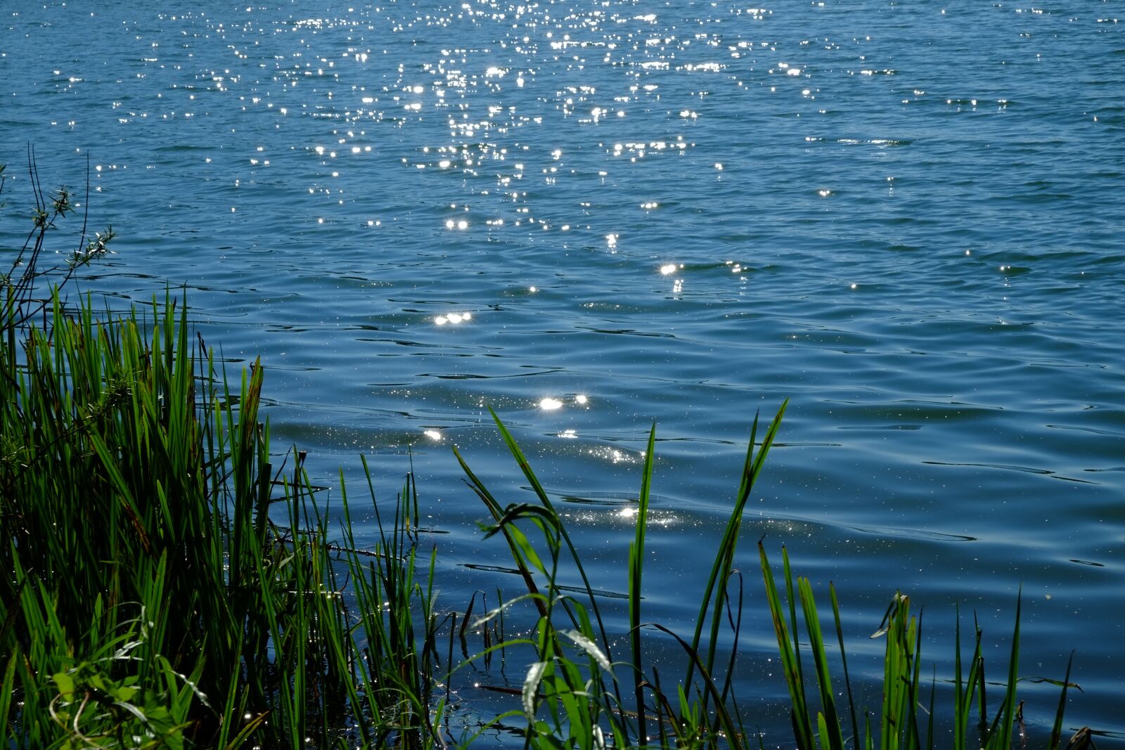 Fujifilm X-E1 sample photo. Lake, water, nature photography