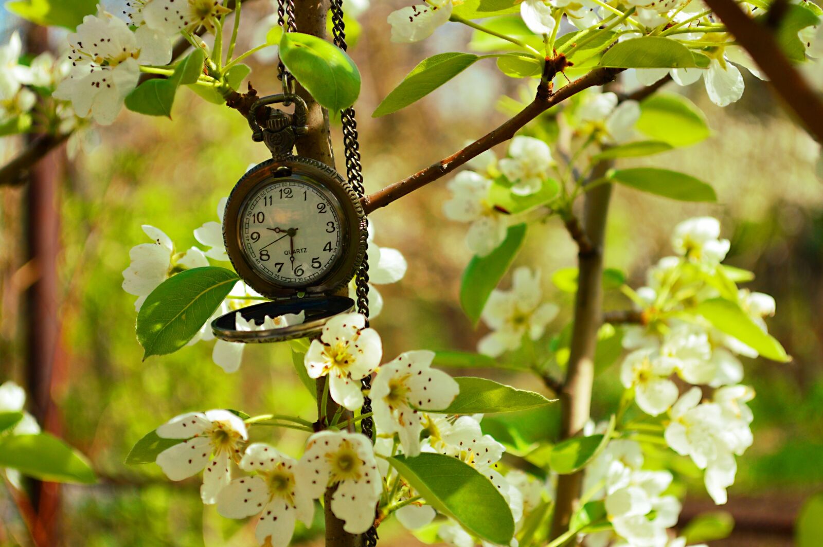 Nikon D3200 sample photo. Clock, spring, time photography