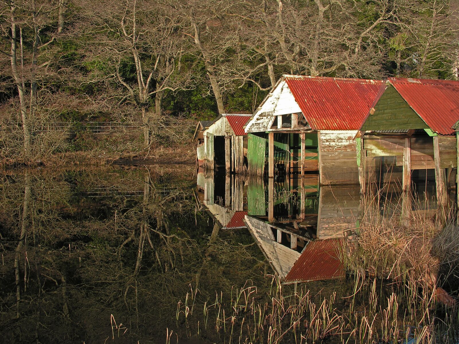 Nikon E8800 sample photo. Reflection, shed, water photography