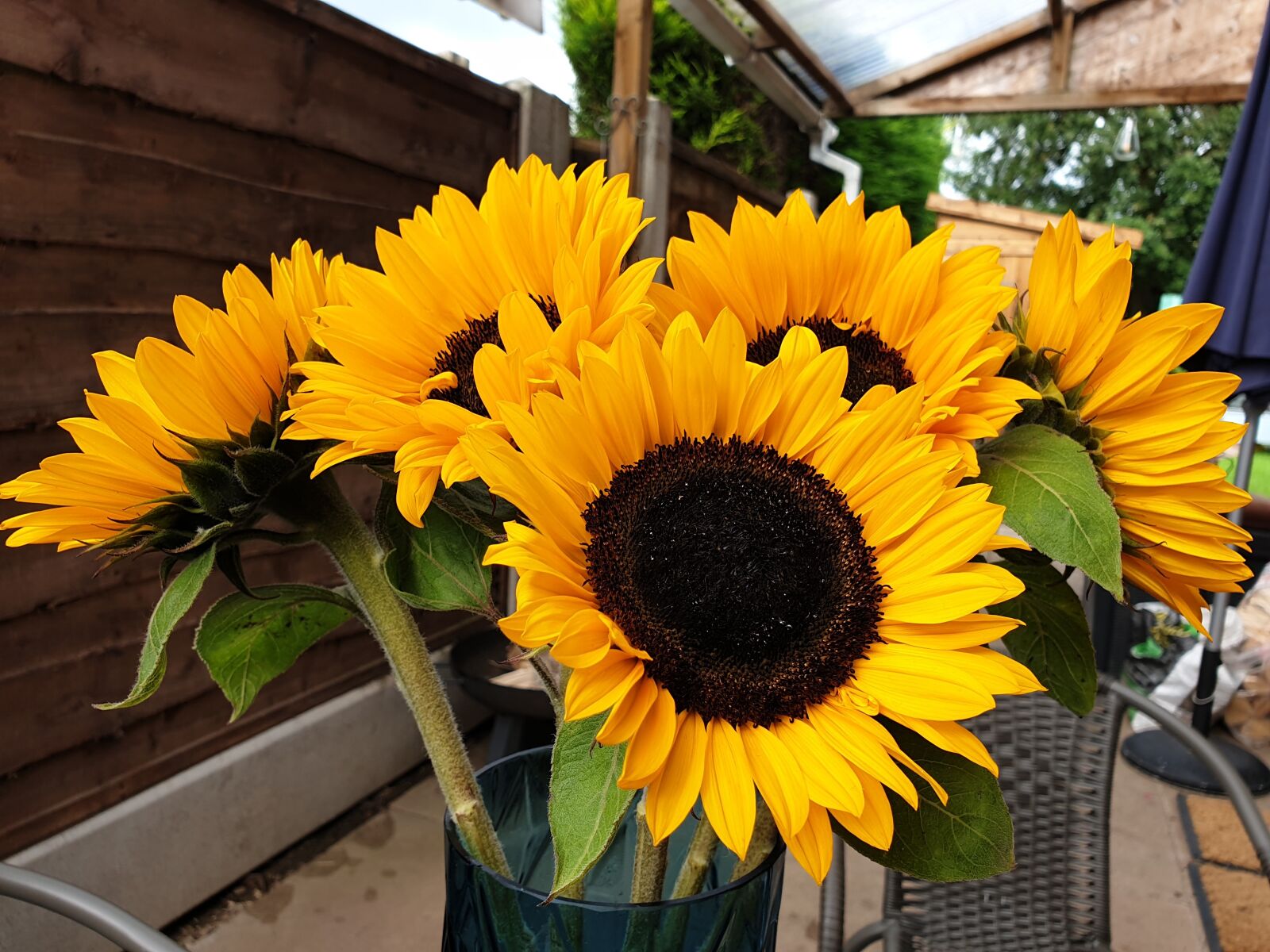 Samsung Galaxy S9 sample photo. Sunflowers, flowers, summer photography