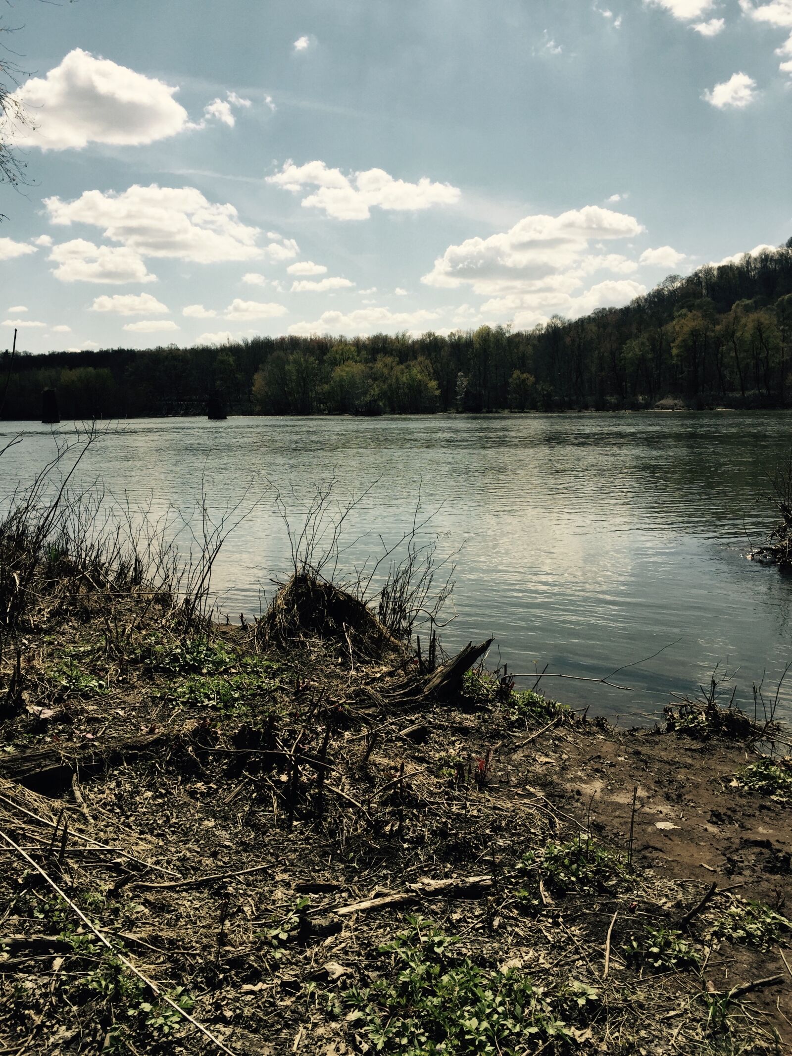 Apple iPhone 6 sample photo. Lakeshore, lake, nature photography