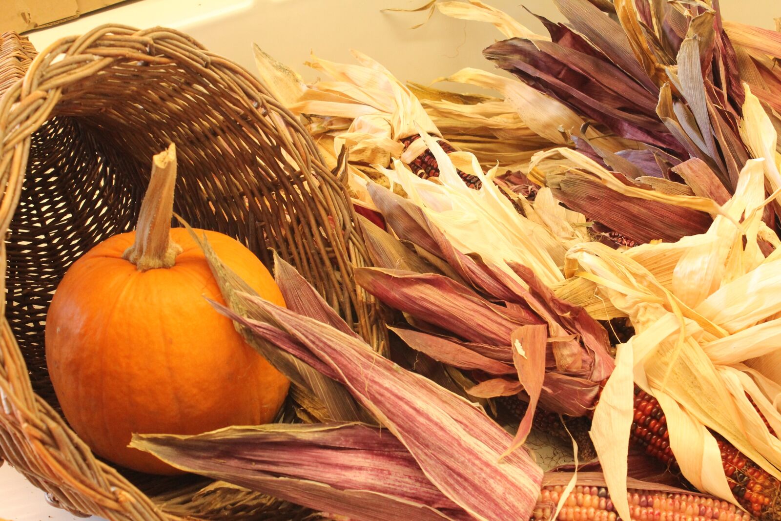 Canon EOS 1100D (EOS Rebel T3 / EOS Kiss X50) sample photo. Autumn, indian corn, corn photography